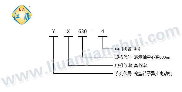 YX高效節(jié)能高壓三相異步電動(dòng)機(jī)_型號(hào)意義說明_六安江淮電機(jī)有限公司